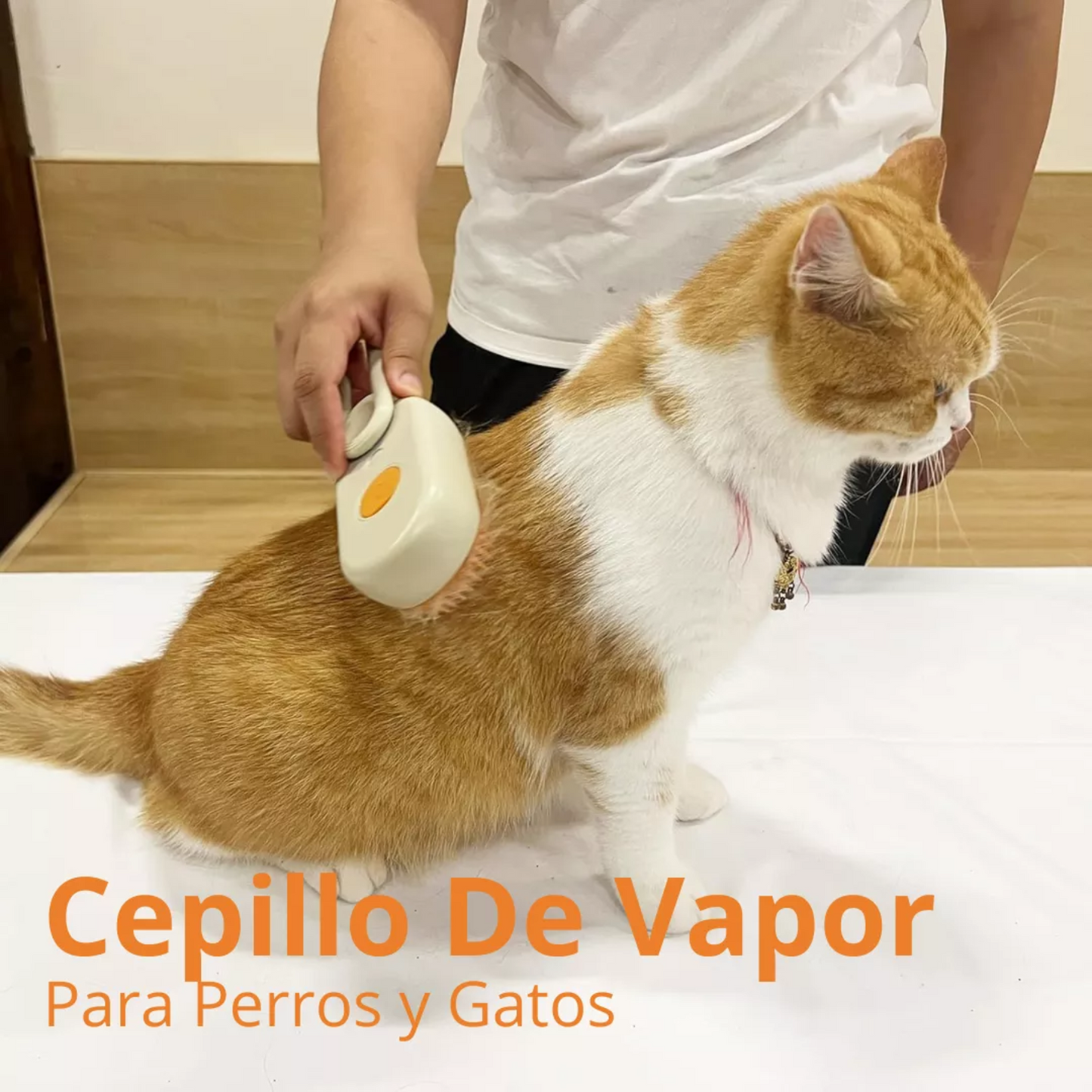 Cepillo de vapor para mascota